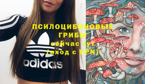 амф Осинники