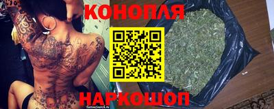 гидропоника Можга