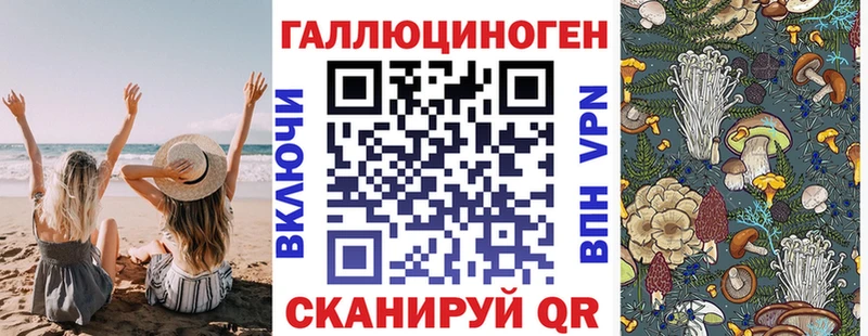 Галлюциногенные грибы Psilocybine cubensis нарко площадка состав Саров гидра tor